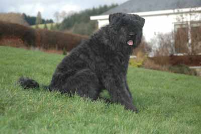 Gabin