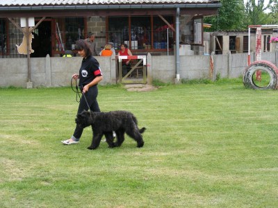 Igor en présenatation sur le ring