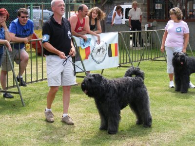 Gabin sur le ring